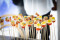 BLA_1313-scaled